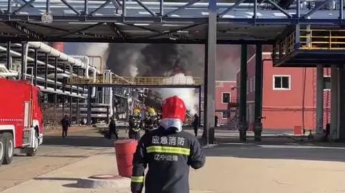 遼寧化工廠爆炸已致5死8失聯 涉事公司曾因偷逃稅被通報