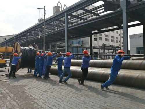 中鹽內(nèi)蒙古化工公司電石廠組織職工圓滿完成600噸 日石灰窯活性石灰項目電纜敷設(shè)任務(wù)
